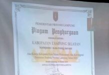 LAMSEL DAPAT PENGHARGAAN DARI PROVINGSI LAMPUNG