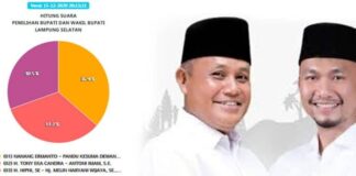 REALCOUNT Lamsel Nanang Pandu Unggul