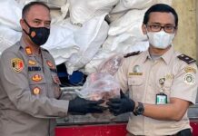 KSKP bakauheni, Amankan Ribuan Daging Celeng