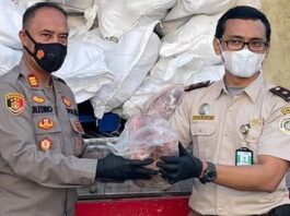 KSKP bakauheni, Amankan Ribuan Daging Celeng