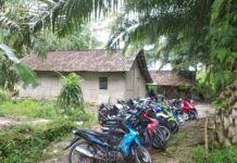 Jajaran Polsek Palas Bersama Unit Jatanras Polres Lamsel, Grebek Permainan Judi Sabung Ayam