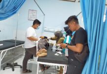 Tragis, Adik Kandung Bunuh Kakanya Sendiri