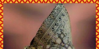 Prediksi Bang ADT Rahmat Mirza Djausal Gantikan Gunadi Pimpin Partai Gerindra Lampung