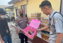 KSKP Bakauheni Polres Lamsel Polda Lampung, Kembali amankan Burung dan Hewan Dilindungi tanpa Dokumen Syah
