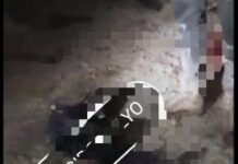 Polres Lamsel : Vidio Amuk Massa terhadap Pelaku Yang Dimutilasi di Sidomulyo adalah Hoax