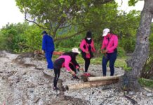 Sat Pol Air Polres Lampung Selatan & Bhayangkari tanam Mangrove di Pulau Rimau