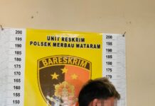 Cabuli anak dibawah umur, warga Tanjung Harapan diamankan Polsek Merbau Mataram.