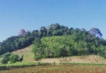 Sejarah Hutan Lindung Gunung Balak Lampung Timur