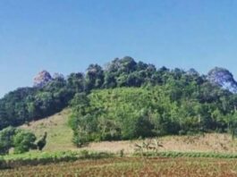 Sejarah Hutan Lindung Gunung Balak Lampung Timur