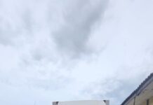 *Angkut Kayu Register 38, Dua Pelaku Di Tangkap Polisi*