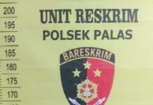 Pakde Pijat Gadis dibawah umur hingga hamil, diamankan Polsek Palas Lampung Selatan
