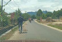 Menelisik Carut Marut Pembangunan Kabupaten Pesawaran