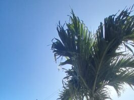 Satu Dari Tiga ASN Terduga Penipuan Tenaga Honorer Bersembunyi Tak Ingin Temui Media