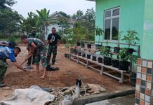 Manfaatkan lahan kosong, Anggota Koramil 421-09/TJB Wujudkan Program Ketahanan Pangan