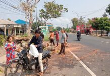 Dua orang warga alami musibah tertimpah pohon tumbang