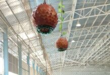 Bupati Lamsel H. Nanang Ermanto Hadir di Babak Final, Tim Futsal PWI Lamsel Raih Juara Pertama