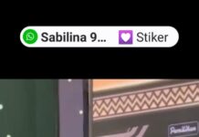 *Bripda M Dicky Wakili Kabupaten Lampung Selatan di Grand Final Muli Mekhanai 2024*