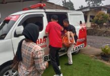 Kondisi Melemah Karena Sakit, Zulian Gendong Ibunya Menuju Ambulance BBHAR PDIP