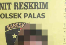 Polsek Palas Tangkap Pelaku Narkotika di Lampung Selatan