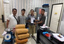 Polisi Ungkap Kasus Pengiriman Ganja di Pelabuhan Bakauheni