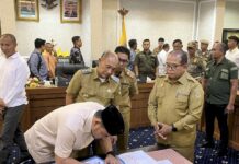 Ketok palu mulai hari ini harga singkong naik.