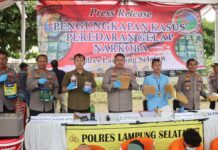 Polres Lampung Selatan Gagalkan Penyelundupan 16 Kg Ganja, Dua Tersangka Ditangkap
