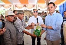 Menko Bidang Pangan RI Salurkan Bibit Pertanian dan Bahan Pangan Untuk Korban Banjir di Lampung Selatan