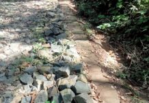 DAK Fisik Dinas Perkebunan dan Peternakan Pesawaran Tahun 2024 Diduga jadi Bancakan