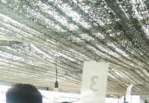 Lapas Kalianda Gelar Tes Urine Pegawai dan WBP, 100% Negatif Narkoba