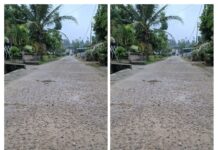 Cermin Buruknya Kwalitas Pembangunan Kabupaten Pesawaran