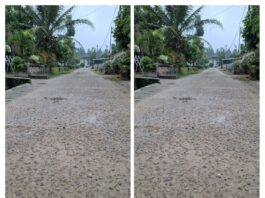 Cermin Buruknya Kwalitas Pembangunan Kabupaten Pesawaran