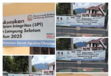 Etos Kerja ASN Pemkab Lamsel “Terjun Bebas”, Pelayanan Menurun Tajam, Hanya Sang Direktur Tetap Disiplin Kerja