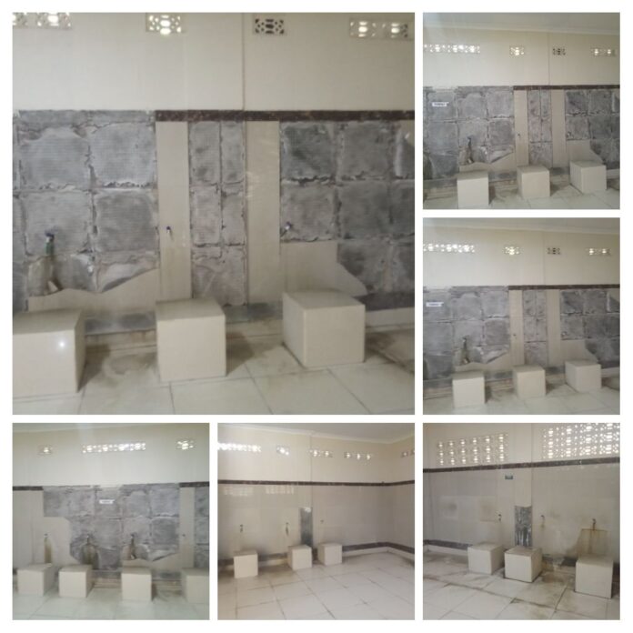 IMG_20251027_023421-COLLAGE