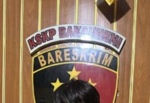 *KSKP Bakauheni Ringkus Pencuri Motor di Area Parkir Dermaga Eksekutif*