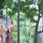 Pemkab Lampung Selatan Genjot Realisasi Anggaran dan Penguatan Layanan Publik, Edy Firnandi: Tutup Tahun dengan Prestasi!