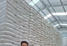 *Bulog Lampung Selatan Pastikan Stok Pangan aman untuk Nataru 2025