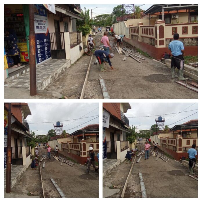 IMG_20251204_203716-COLLAGE