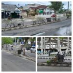 LSM Corong Kritisi DLH Lamsel, Sarankan Bunga-bunga Tengah Jalan Dua Jalur Dirawat dan Diremajakan Lagi Untuk Mendukung Penuh Wisata di Lamsel