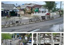 LSM Corong Kritisi DLH Lamsel, Sarankan Bunga-bunga Tengah Jalan Dua Jalur Dirawat dan Diremajakan Lagi Untuk Mendukung Penuh Wisata di Lamsel